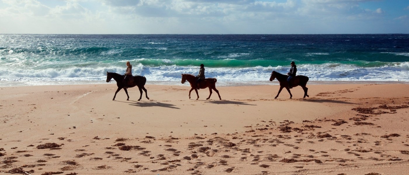 Horseriding at Domaine de Murtoli